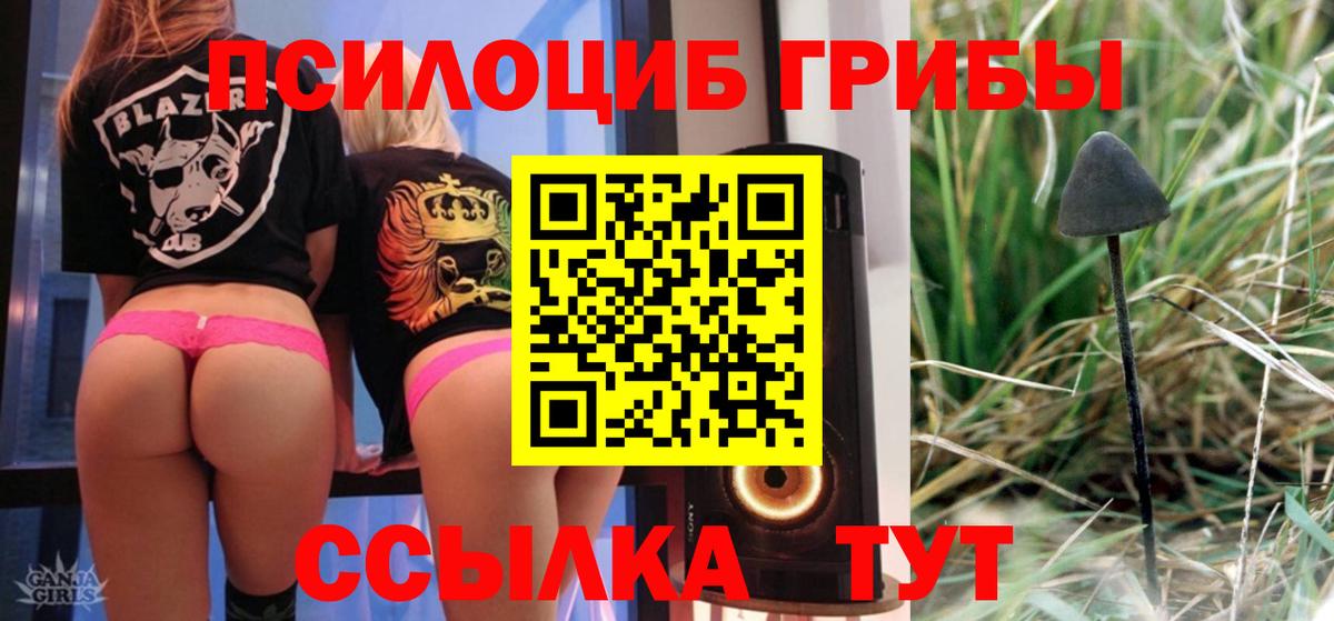 Полевской  Галлюциногенные грибы мицелий  Вход с VPN 